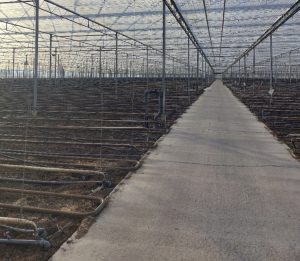 Onzevolkstuin in Utrecht